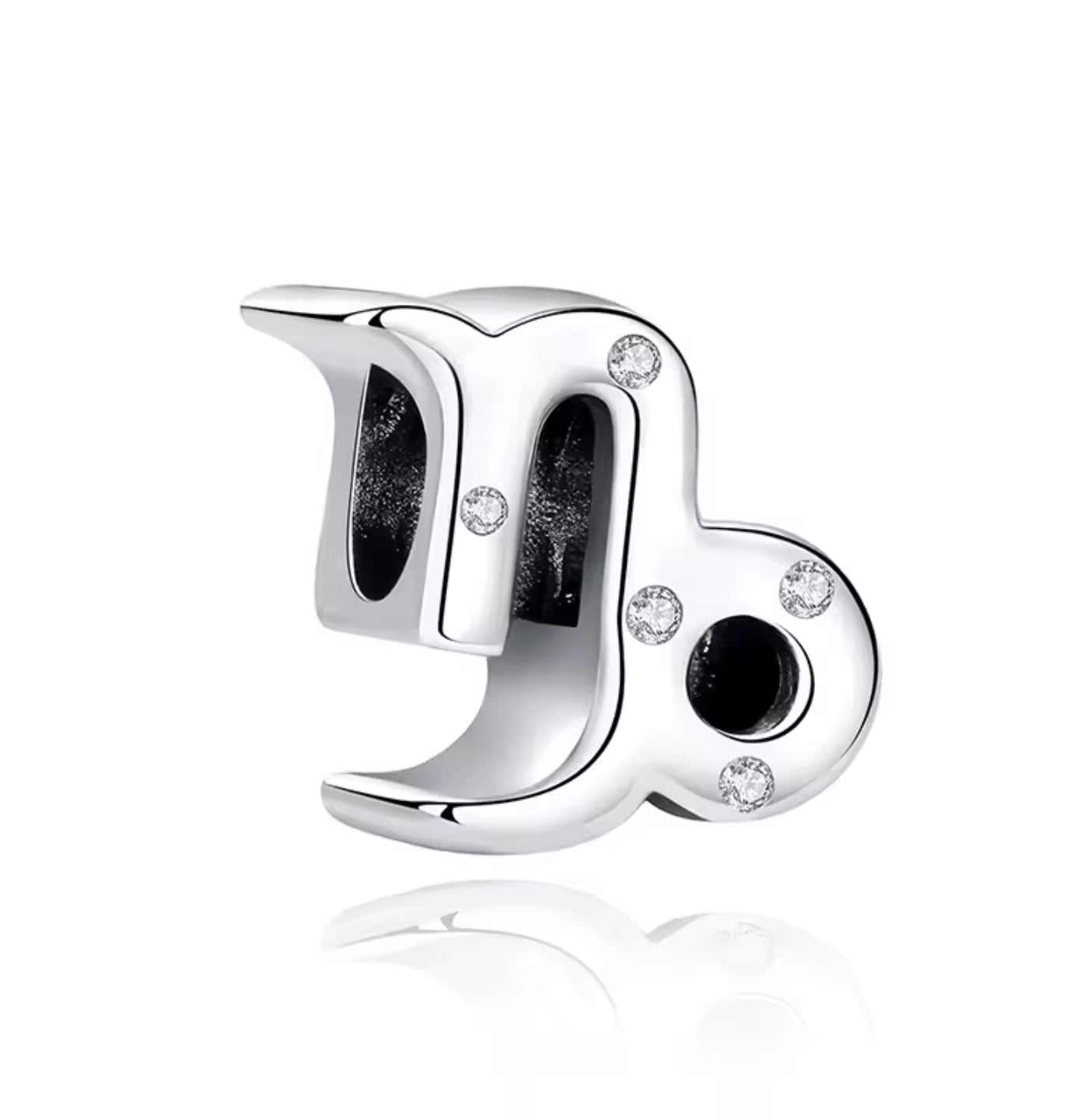Capricorn Zodiac Charm