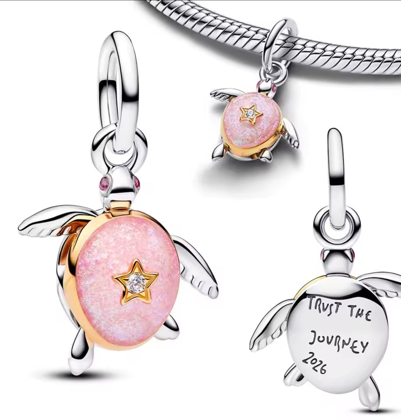 2026 Turtle charm