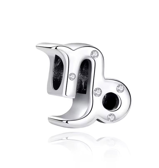 Capricorn Zodiac Charm