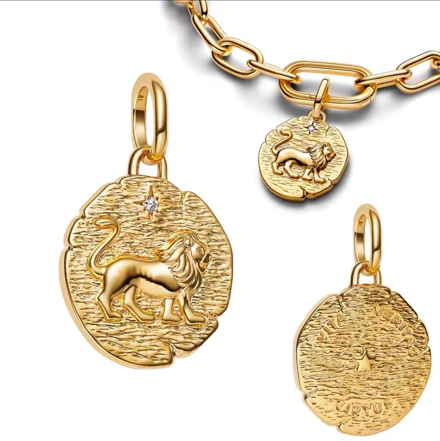 Lion Coin Charrm